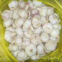 5cm frischen Knoblauch Preis neue Ernte besten Preis